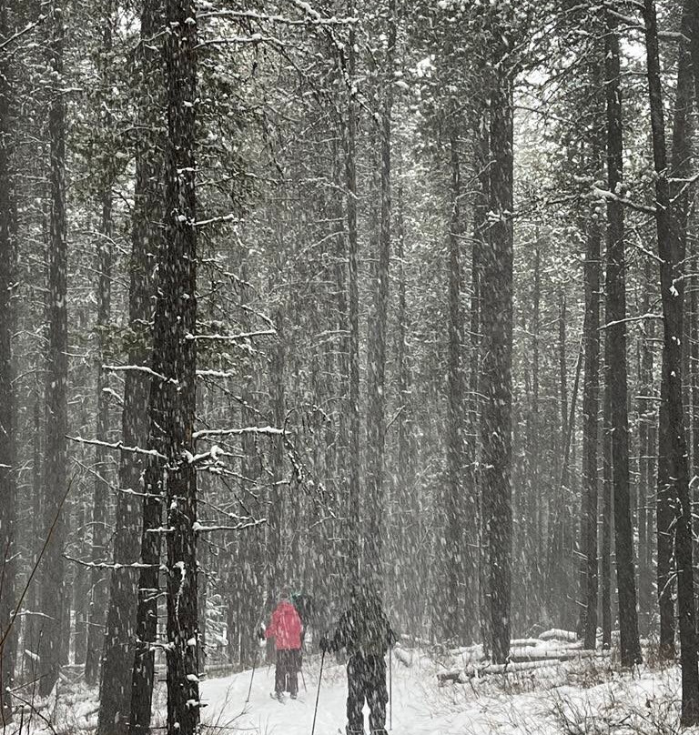 Uplift Adventures-科尔曼必去景点