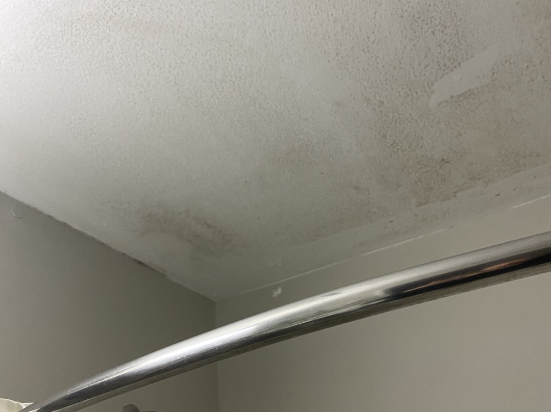 Microtel Inn & Suites by Wyndham Tifton主图