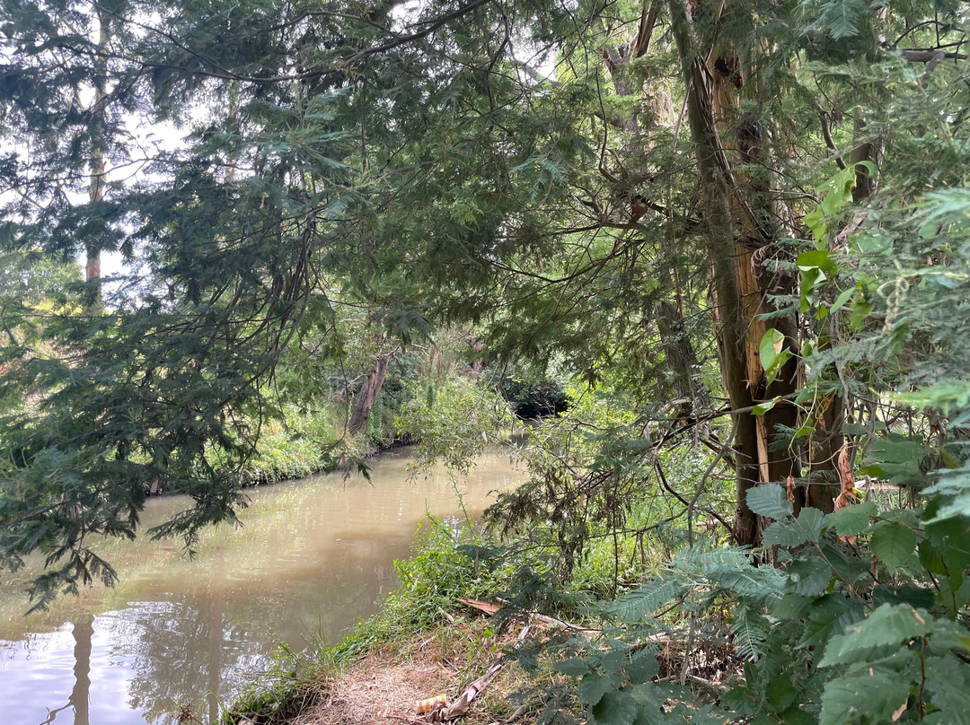 Bert Thompson Reserve-特拉拉尔根必去景点