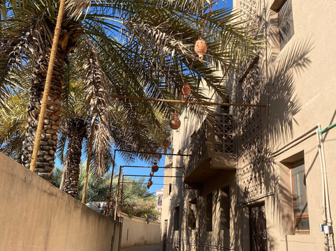 Arabian Dreams Tours-马斯喀特必去景点