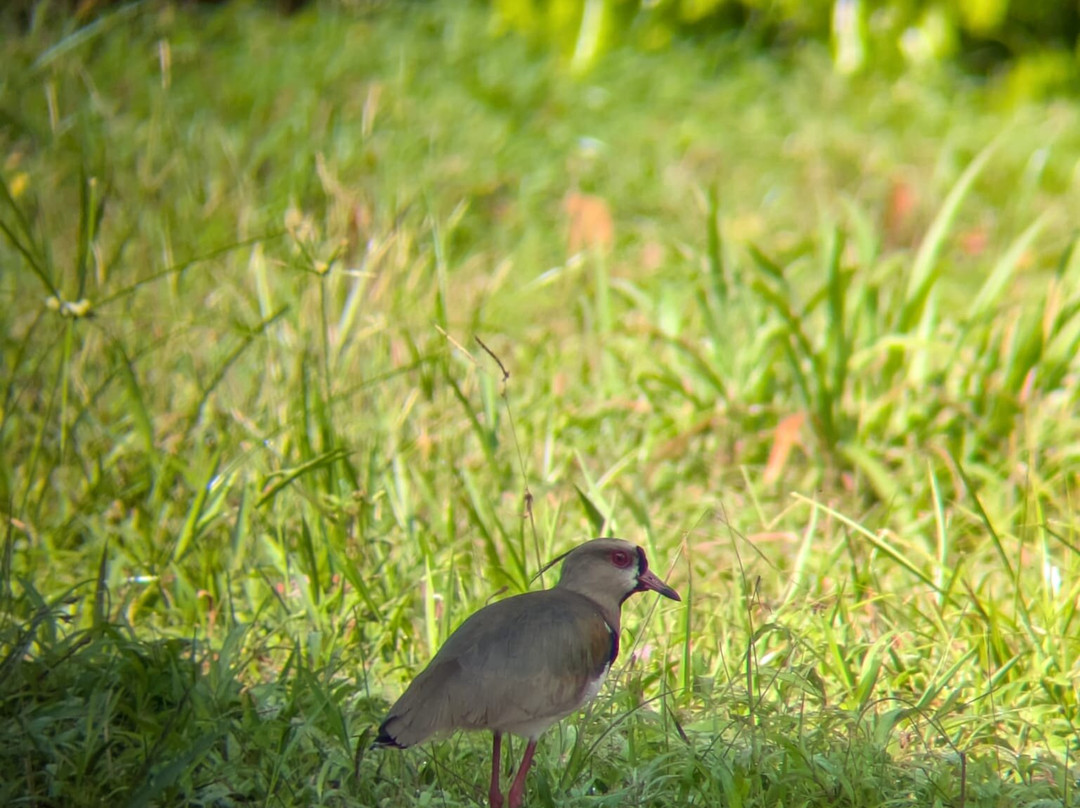 Osa Bolo Adventures-Corcovado National Park必去景点