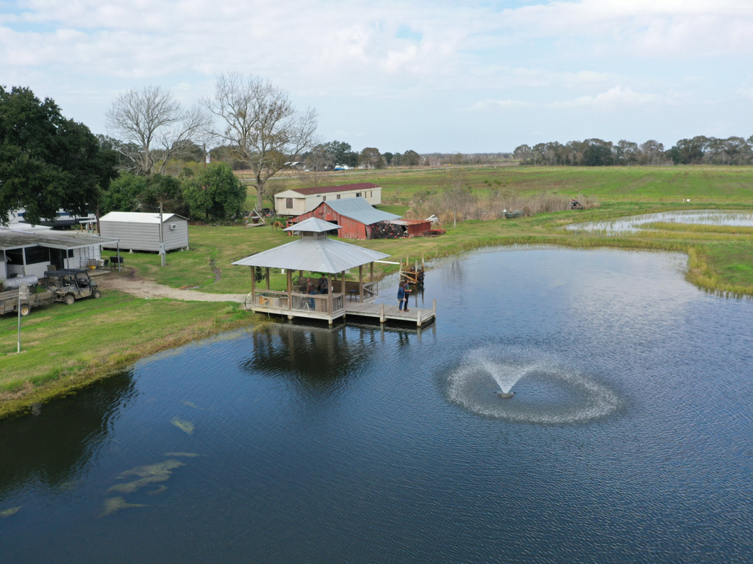 Crawfish Haven / Mrs. Rose's Bed and Breakfast主图
