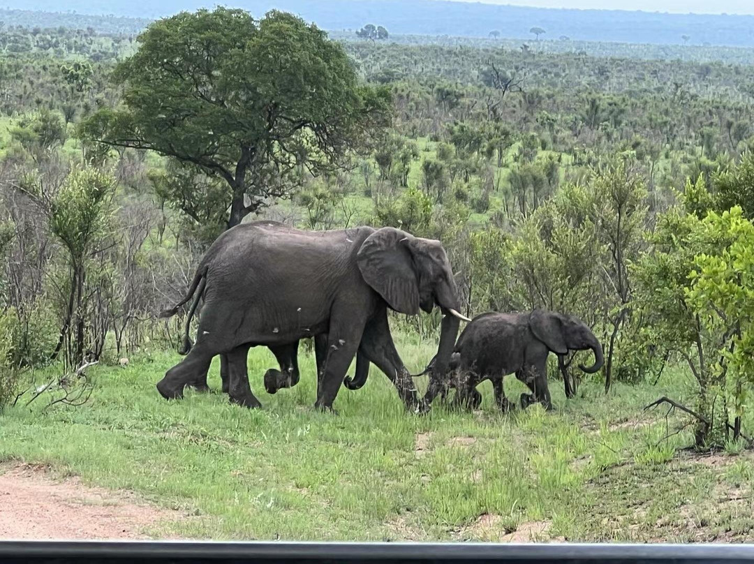 Canuel Tours And Safaris-雾观必去景点