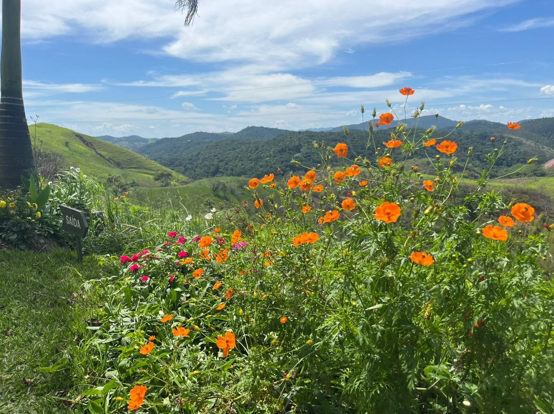 Uaná Etê Jardim Ecológico景点图片