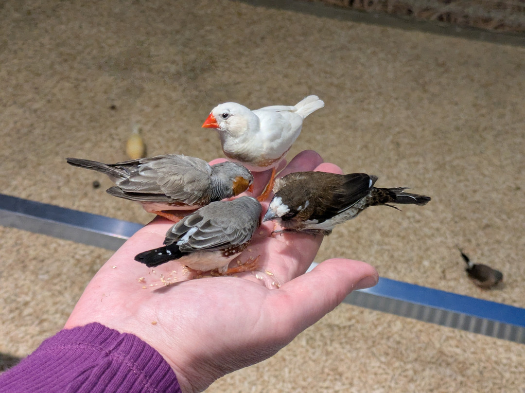 Zoolung Zoolung - Hanam-河南市必去景点