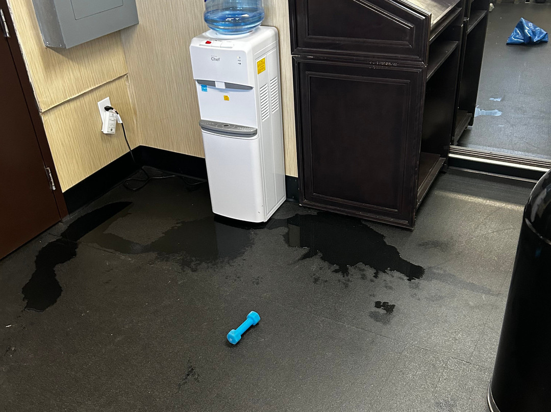 Best Western Estevan Inn & Suites主图