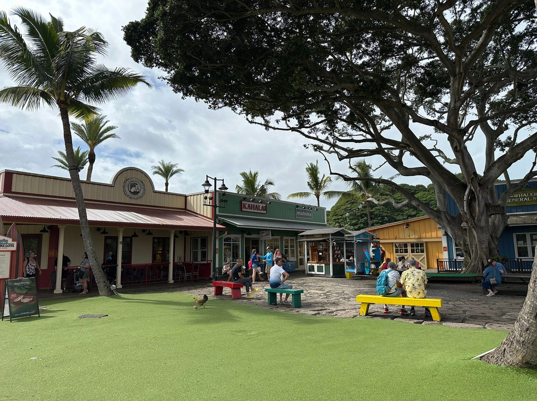 Haleiwa Store Lots-哈雷瓦必去景点