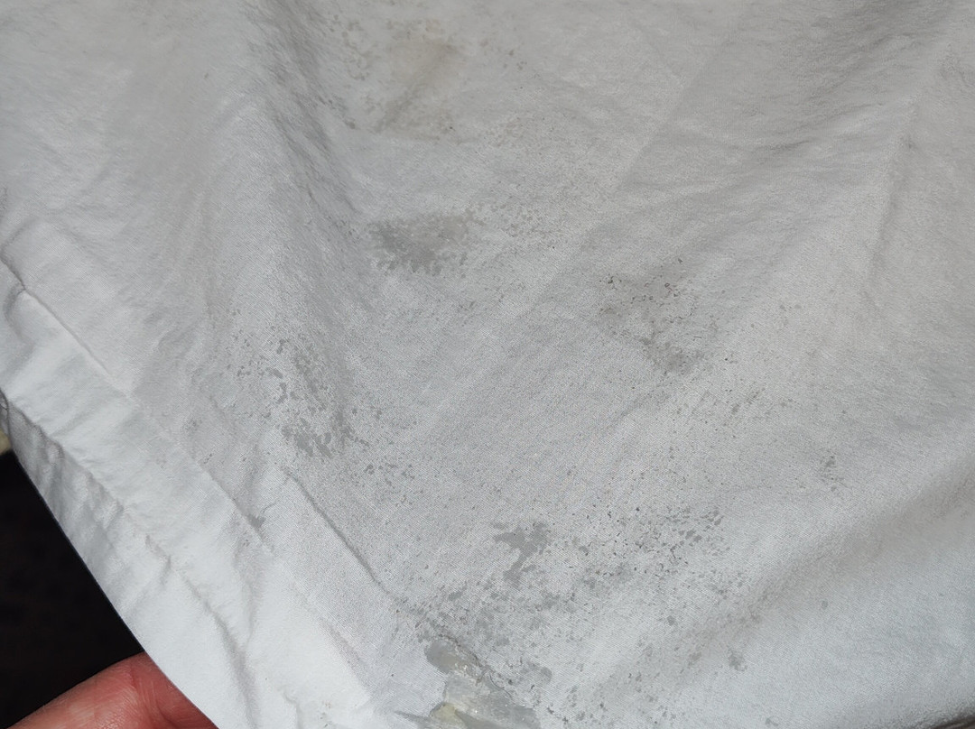 Best Western Plus Newark/christiana Inn主图