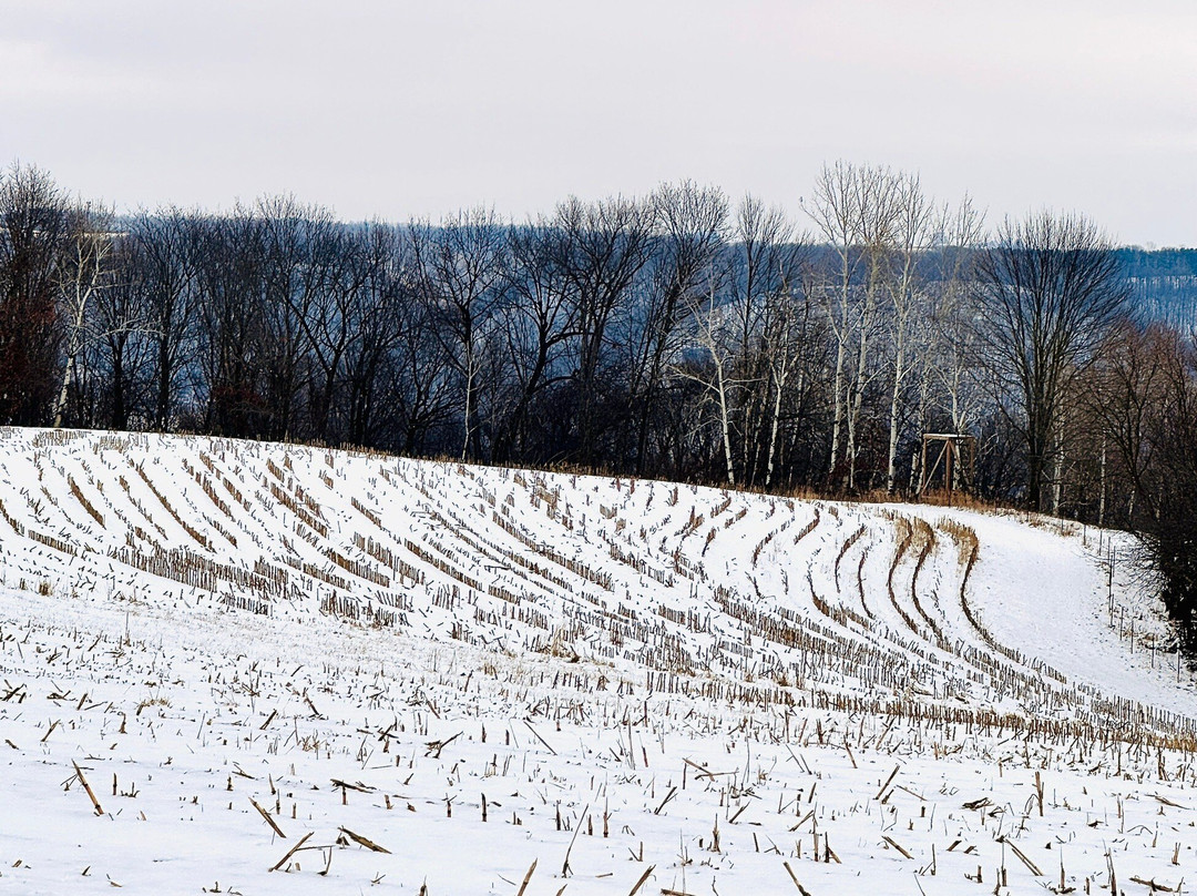 Coon Valley Veterans Memorial Park-Coon Valley必去景点