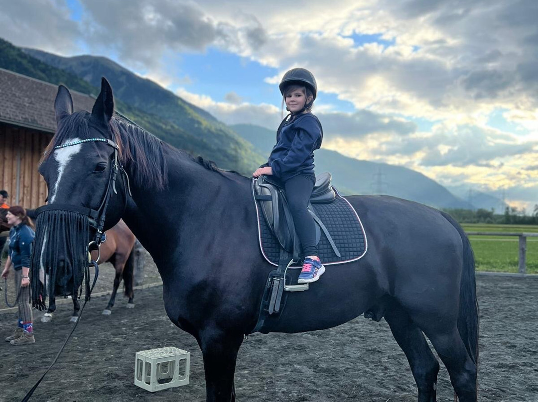 Chalets Und Apartments Hauserhof主图