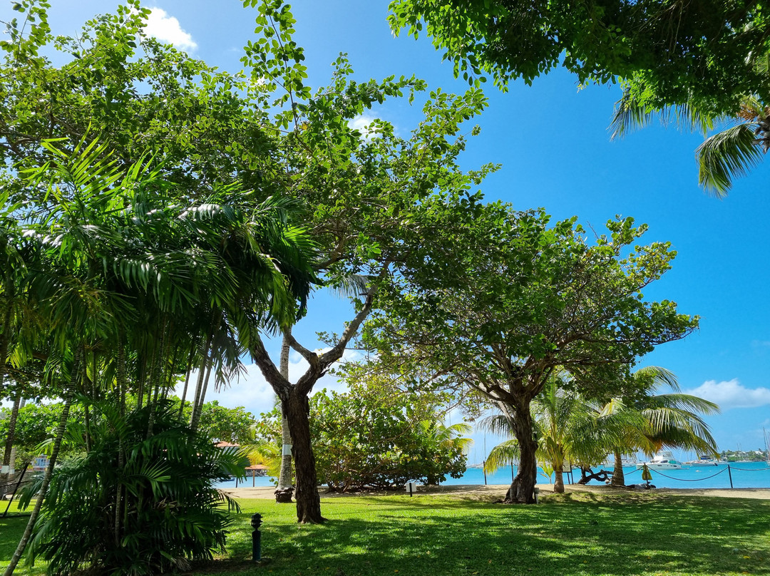 艾平兰斯小屋主图