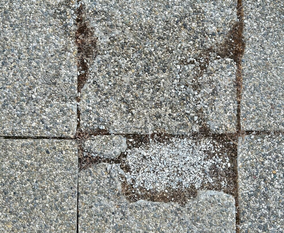 Edelweiss Lodge Lachtal主图