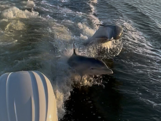 Good Time Charters-迈尔斯堡海滩必去景点