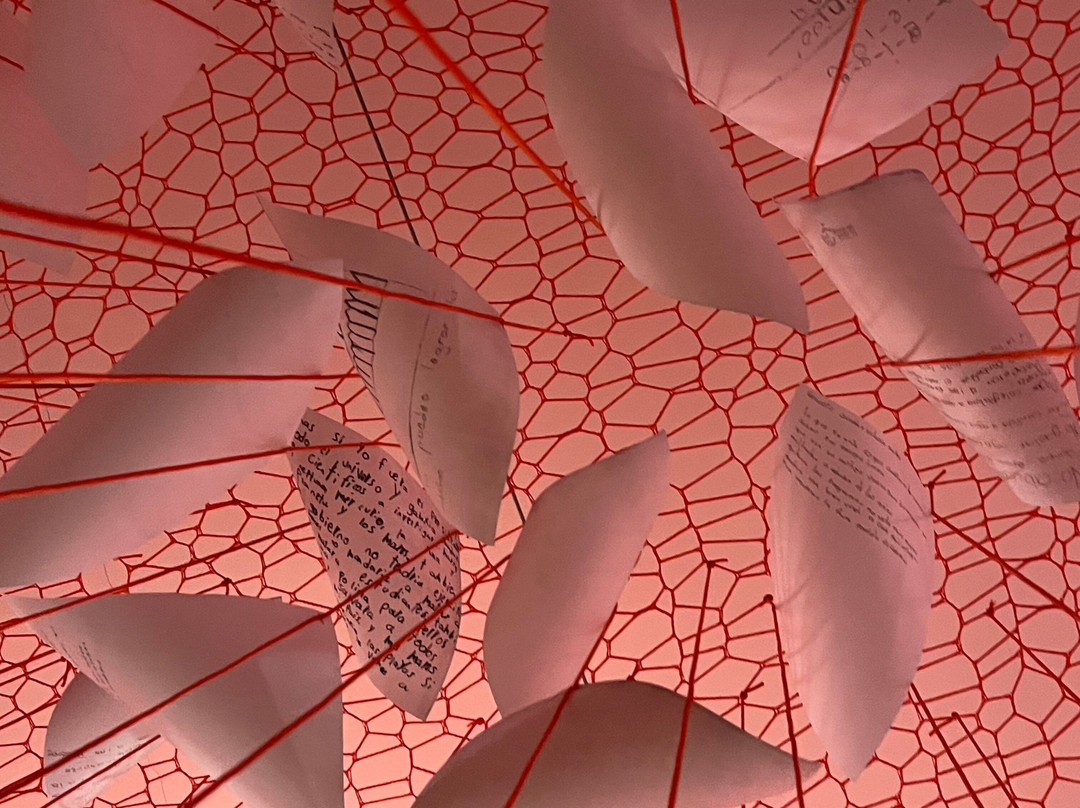 Vidasurf Ecotours-埃斯孔迪多港必去景点