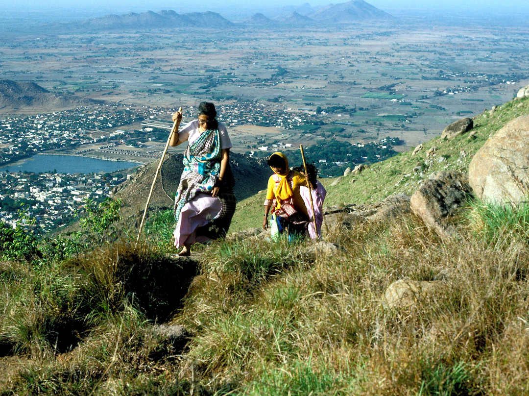 Arunachala Mountain景点图片