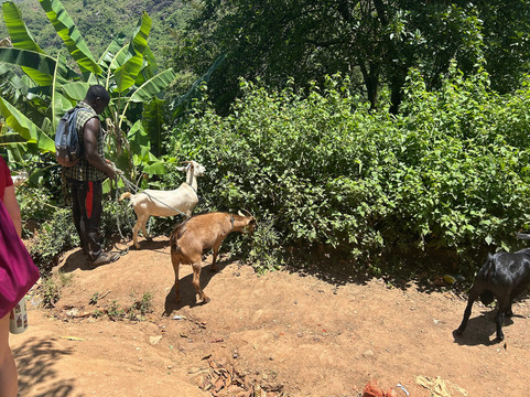 KAIZULU TOURS AND SAFARIS-莫洛哥罗必去景点