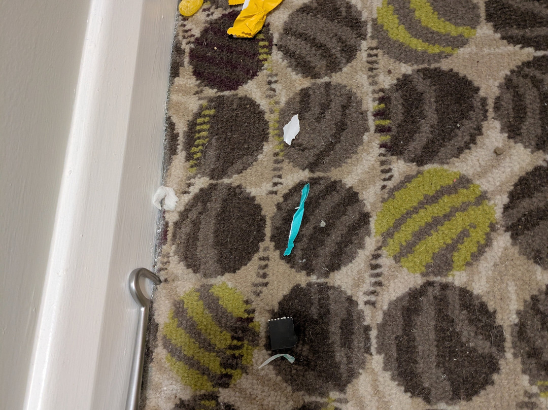 卢顿希尔顿花园酒店主图