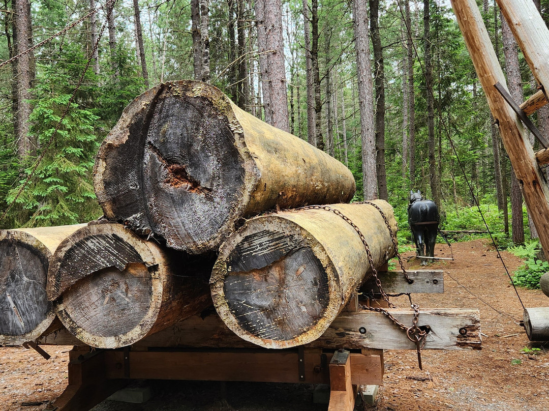 Algonquin Logging Museum景点图片