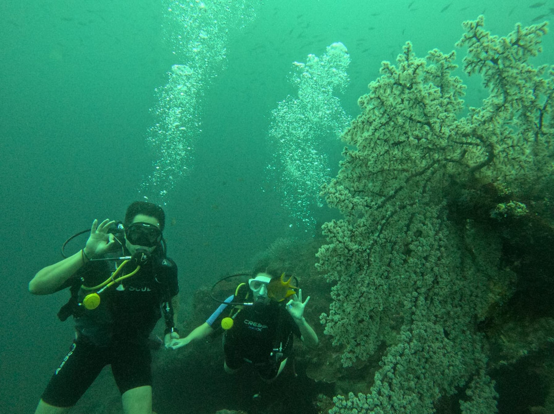 Let's Dive Tulamben-图兰本必去景点