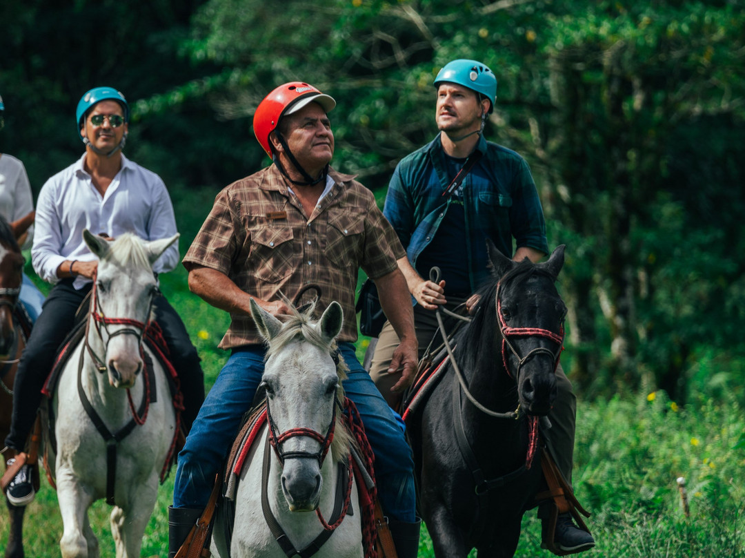 El Silencio Lodge & Spa主图