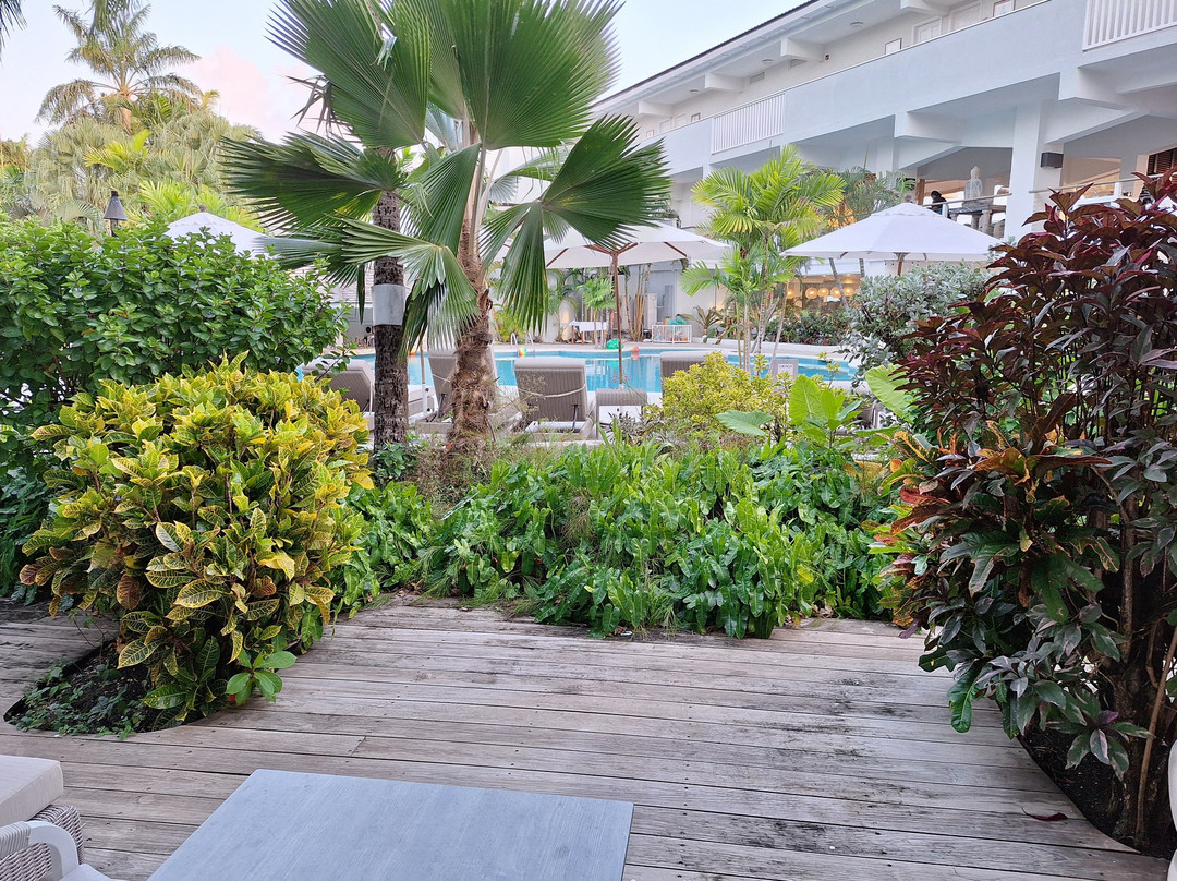 阿玛丽利斯海滩度假村主图