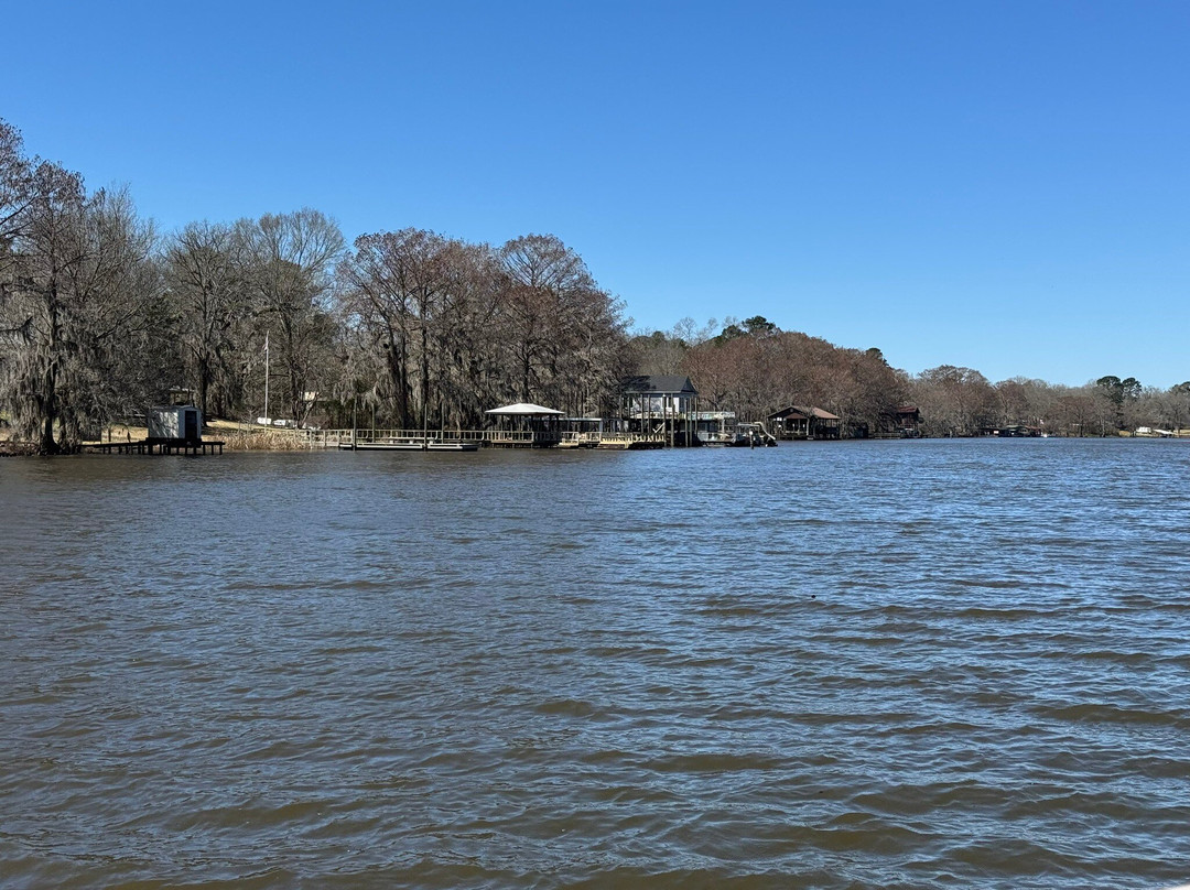 Mossy Brake Camp Swamp Tours-Karnack必去景点