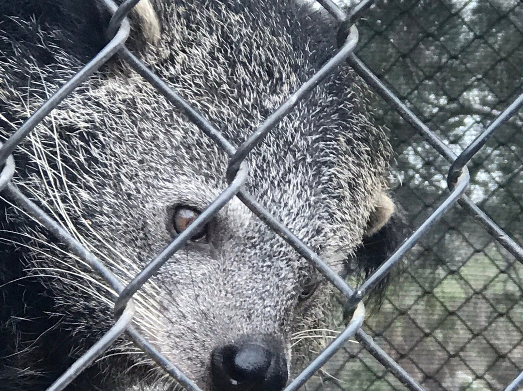 Wild Wonders, Inc.-Bonsall必去景点