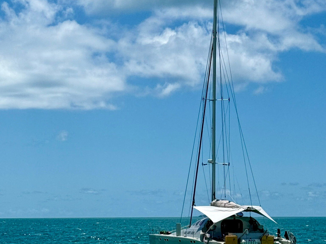 Ricochet Yachting-汉密尔顿岛必去景点