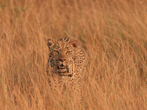 Frena Adventures-吉佳利必去景点