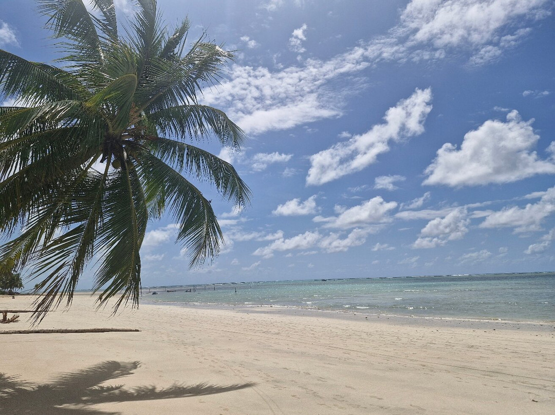 Pousada Riacho Dos Milagres主图