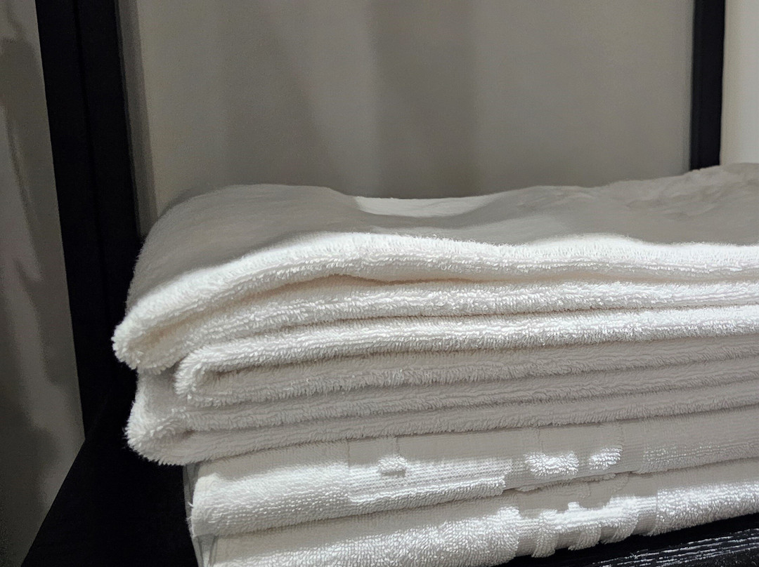 N Bridge Hotel主图