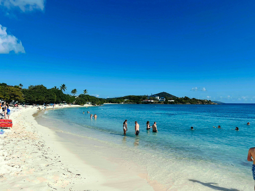 Brenda And Franko's Fun Tours-夏洛特阿马利亚必去景点