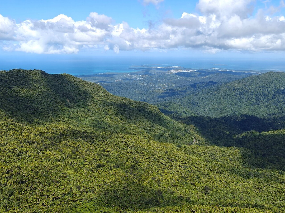 Mt. Britton Lookout Tower-Rio Grande必去景点