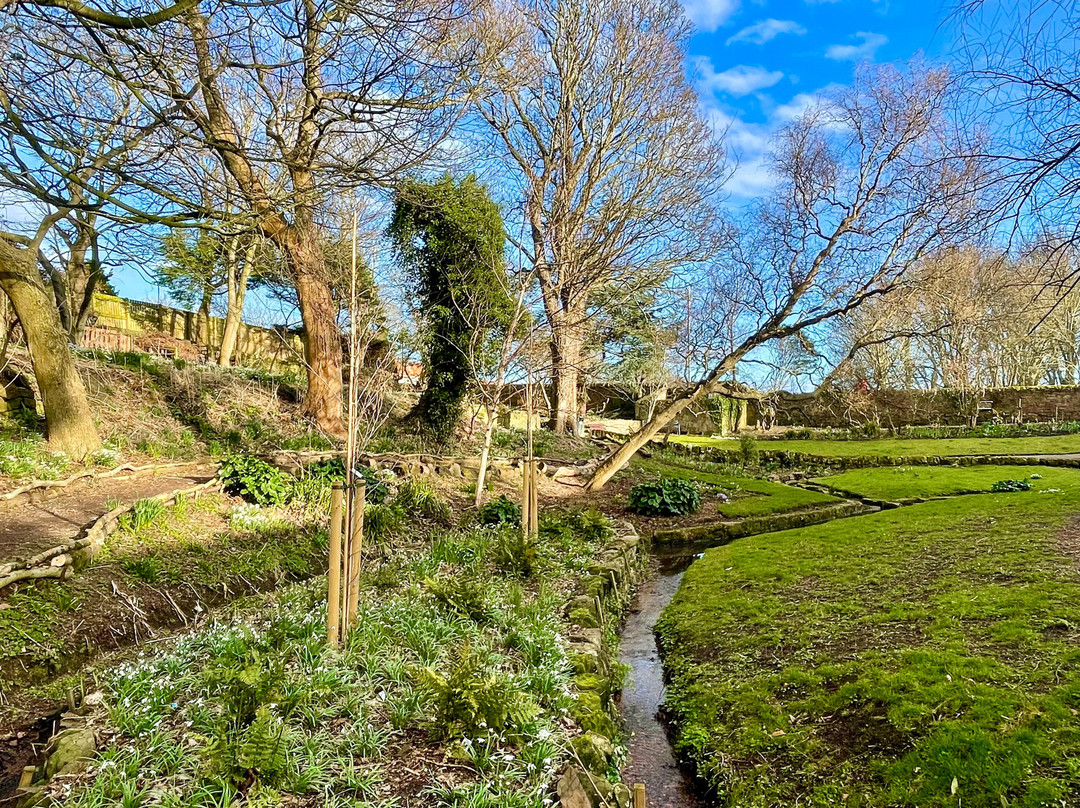 Denburn Wood