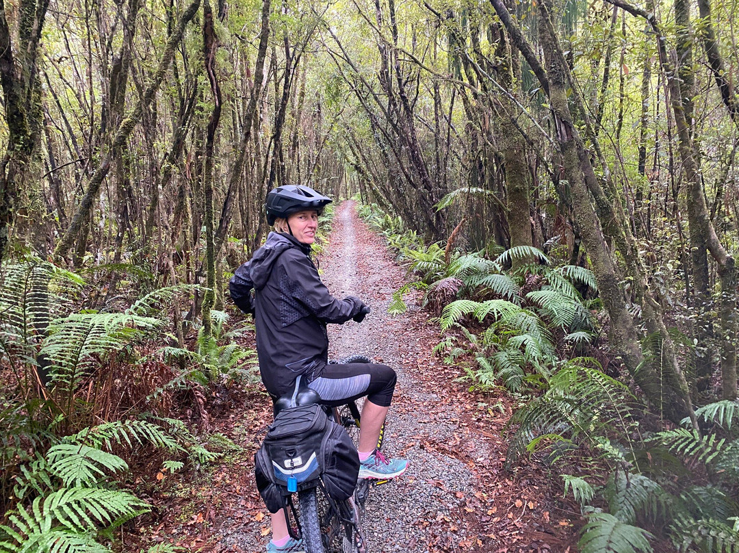 Wilderness Trail Shuttle & Cycles景点图片