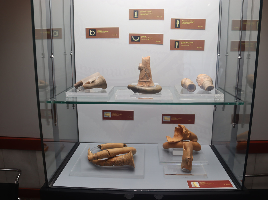 Museo Numantino景点图片