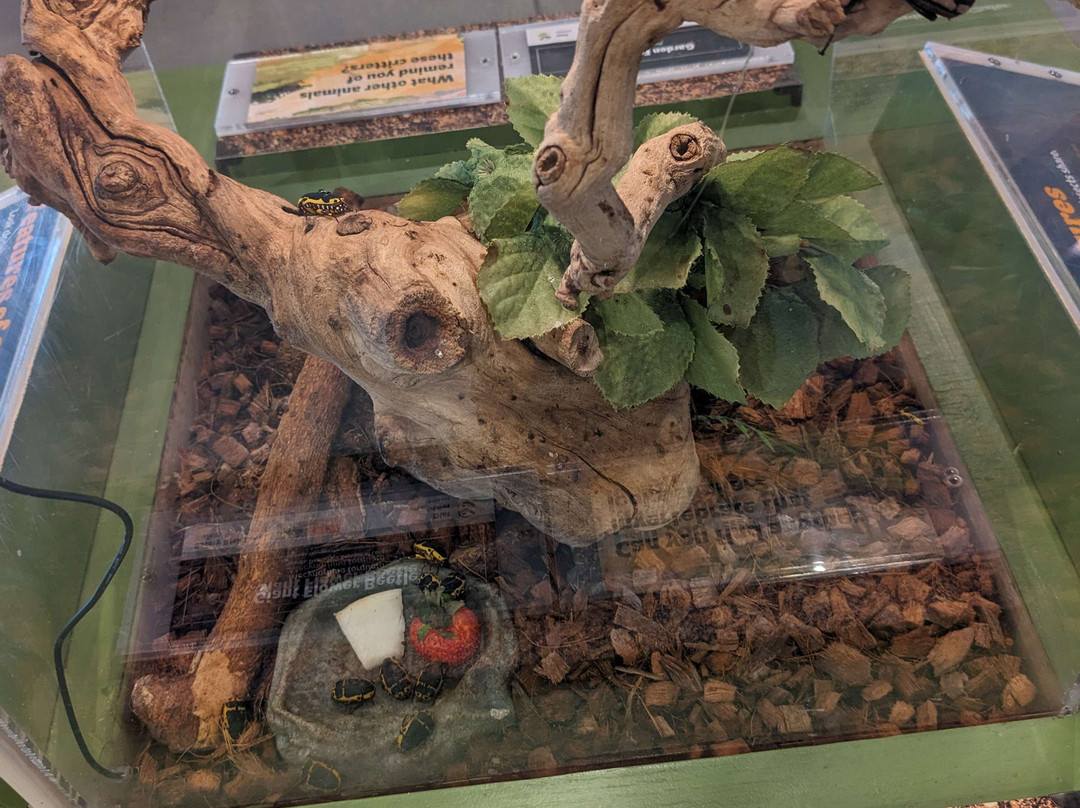 Butterfly Biosphere-李海必去景点