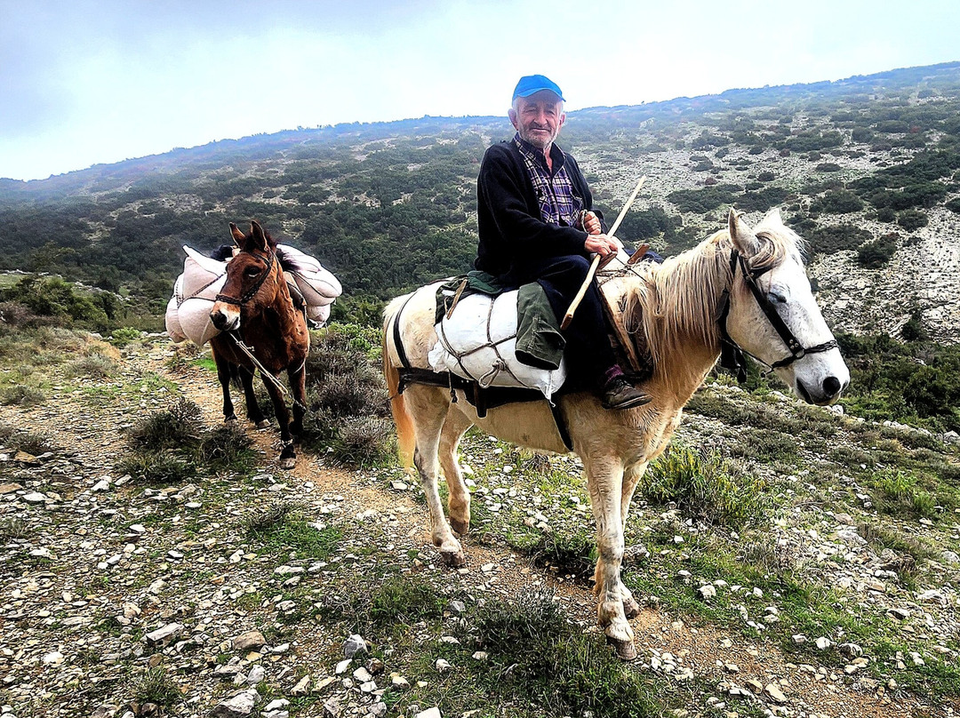 Outdoor Albania-地拉那必去景点