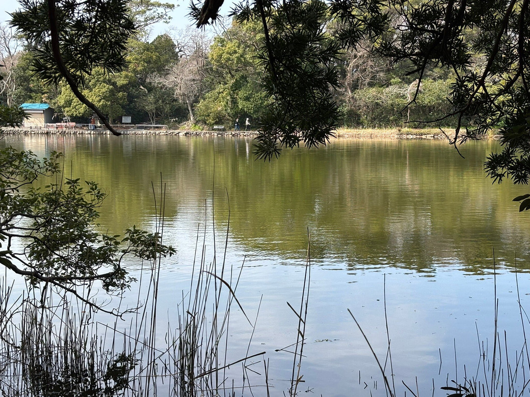 Ose no Kami Pond景点图片