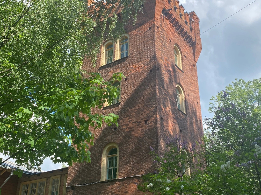 A. P. Bryullova Country House-巴甫洛夫斯克 必去景点