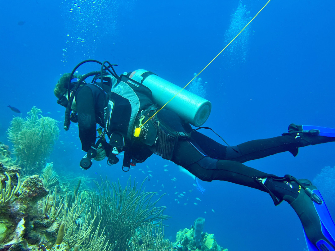 GO WEST Diving-Sabana Westpunt必去景点
