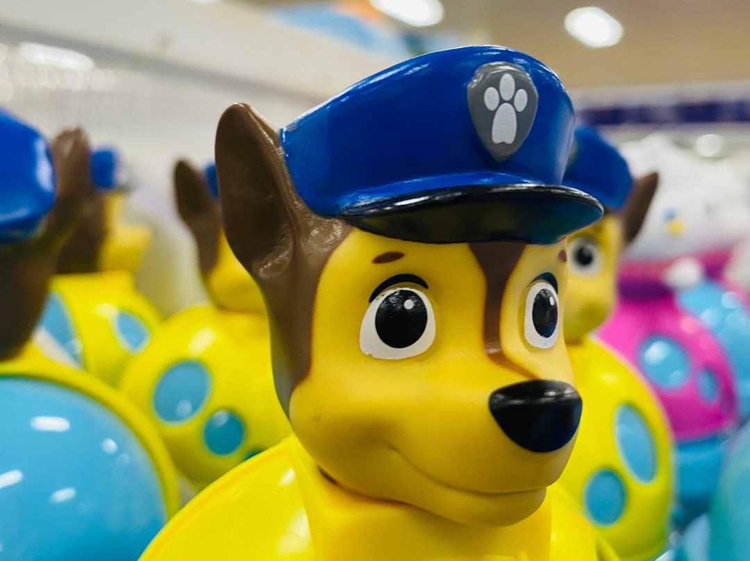 Big W Palmerston-帕默斯顿必去景点