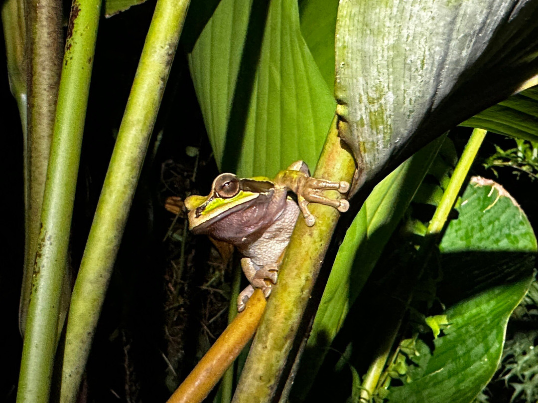 Sukia Travel-德雷克湾必去景点