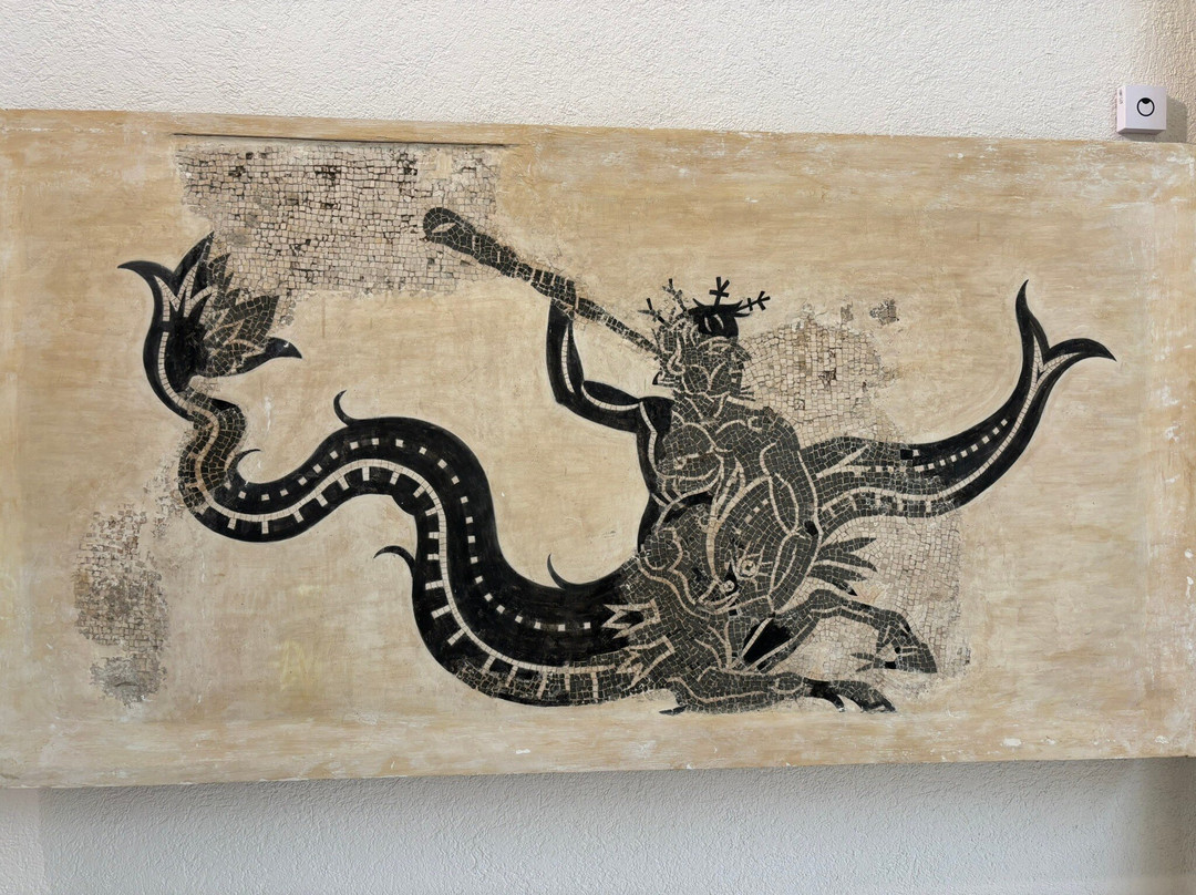 Museum of Cadiz-加的斯市必去景点