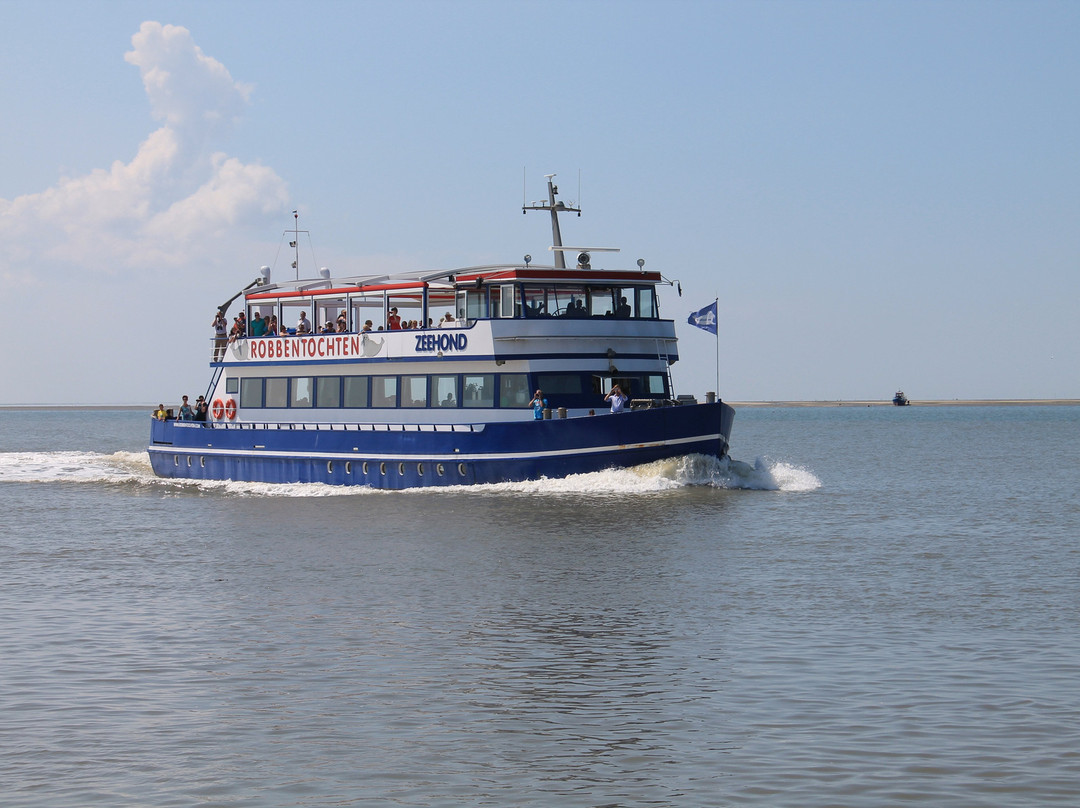 Zeehond Robbentocht景点图片