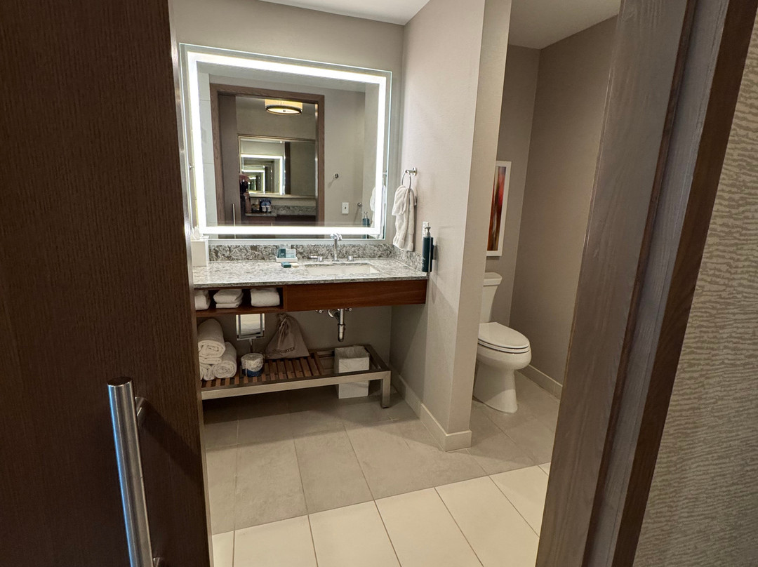 Hilton Rochester Mayo Clinic Area主图