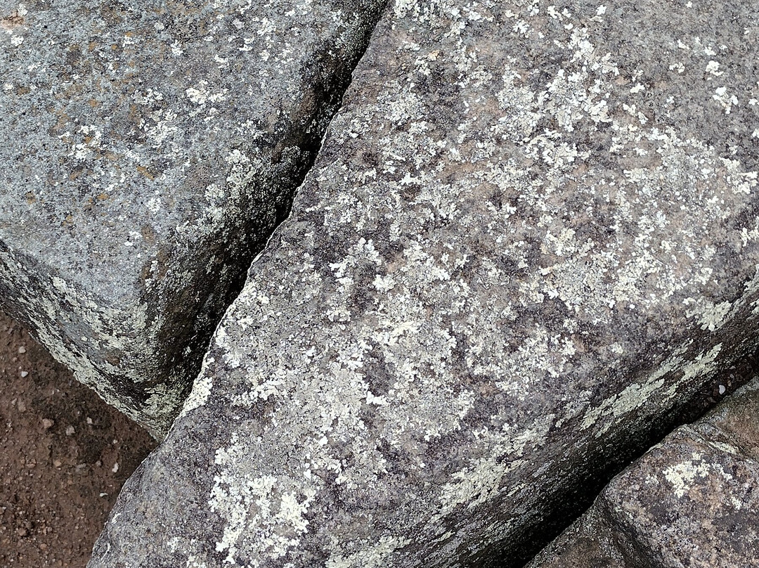 Ingapirca Ruins景点图片