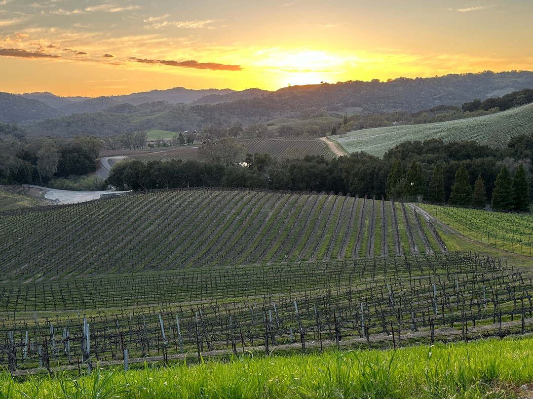 The Inn at Opolo主图