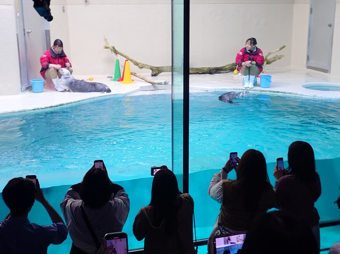鸟羽水族馆景点图片