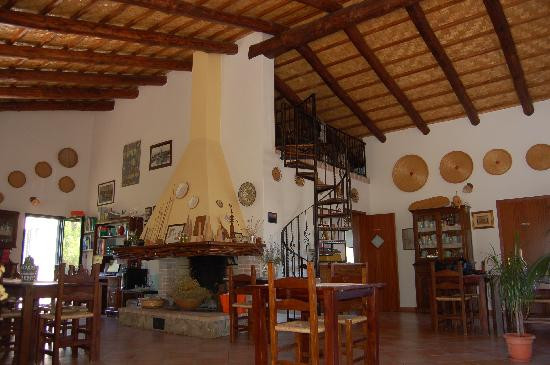 Agriturismo Villa degli Ulivi di Michela Puliga主图